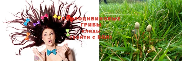 амф Абдулино